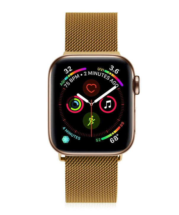 Magnetic Chain Strap For 42-44-45-49mm